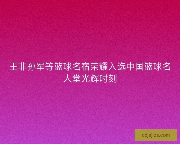 王非孙军等篮球名宿荣耀入选中国篮球名人堂光辉时刻