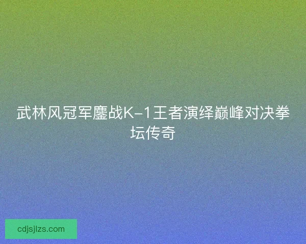 武林风冠军鏖战K-1王者演绎巅峰对决拳坛传奇